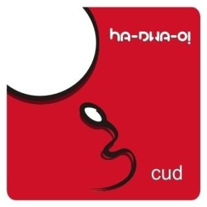 Ha Dwa O! - Ta cicha noc